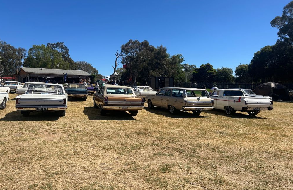 VE VF & VG Photoshoot at Ettamogah Hotel, COTM 2024