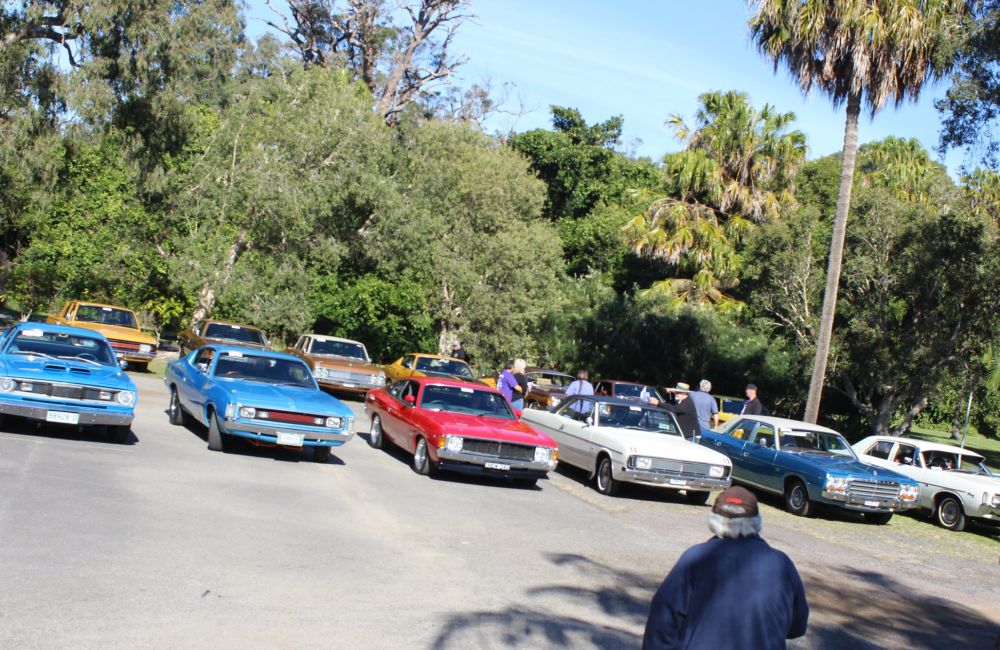 More cars for the lunch cruise on Saturday of Wake Run 2020