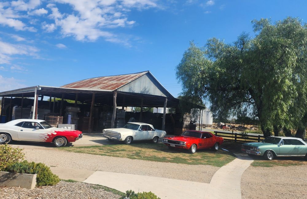 Some of the Chambers winery cars 2025